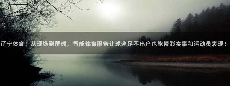 辽宁体育：从现场到屏端，智能体育服务让球迷足不出户也能精彩赛事和运动员表现！