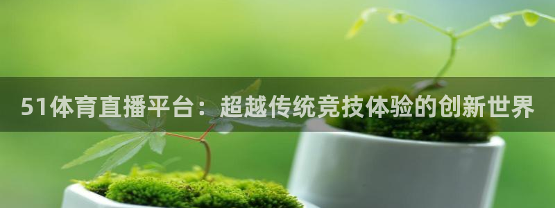 51体育直播平台：超越传统竞技体验的创新世界