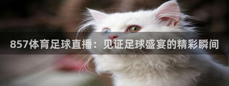 857体育足球直播：见证足球盛宴的精彩瞬间