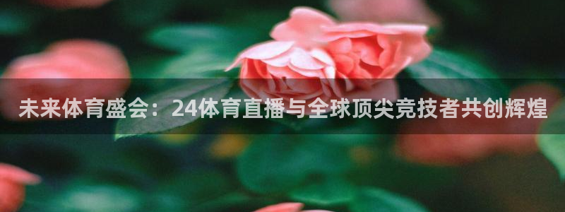 未来体育盛会：24体育直播与全球顶尖竞技者共创辉煌