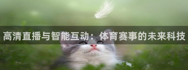 高清直播与智能互动：体育赛事的未来科技