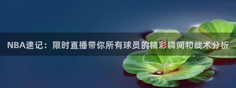 NBA速记：限时直播带你所有球员的精彩瞬间和战术分析