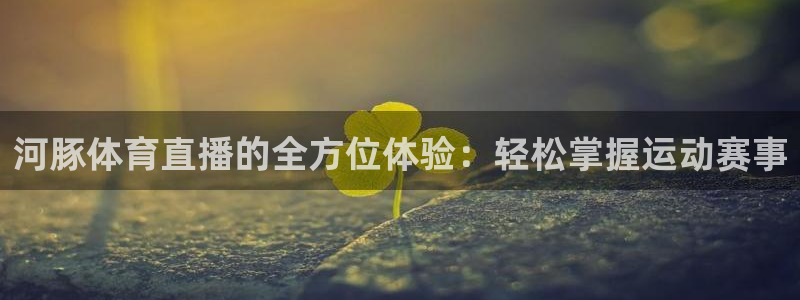 河豚体育直播的全方位体验：轻松掌握运动赛事