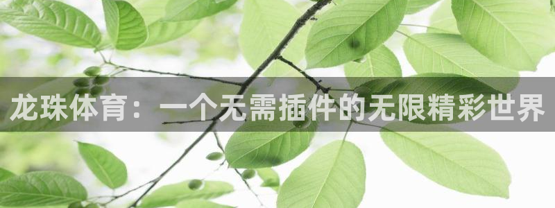 龙珠体育：一个无需插件的无限精彩世界