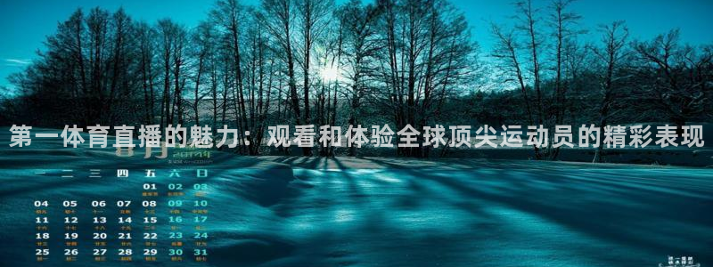 第一体育直播的魅力：观看和体验全球顶尖运动员的精彩表现