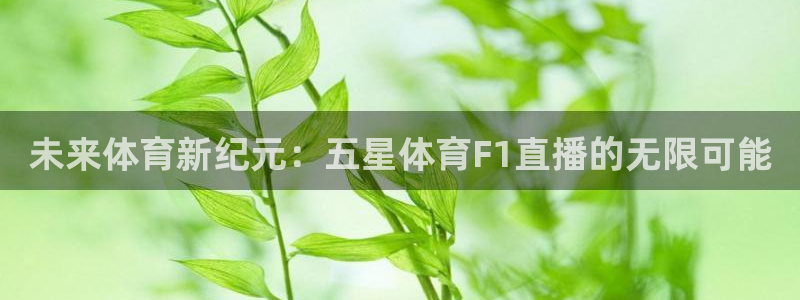 未来体育新纪元：五星体育F1直播的无限可能