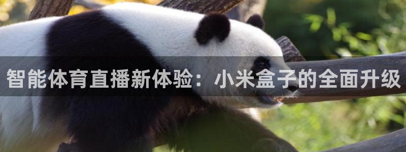 智能体育直播新体验：小米盒子的全面升级