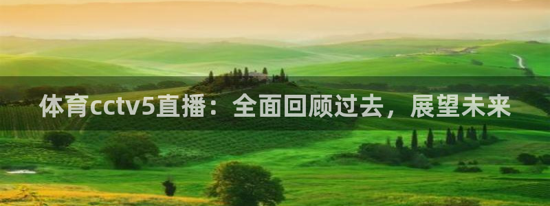 体育cctv5直播：全面回顾过去，展望未来