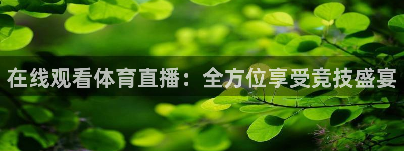 在线观看体育直播：全方位享受竞技盛宴