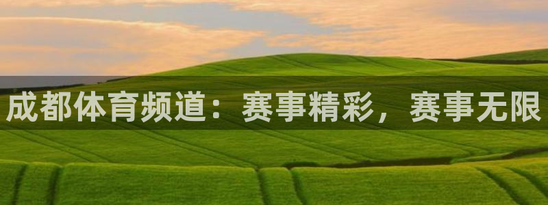 成都体育频道：赛事精彩，赛事无限