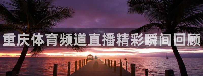 重庆体育频道直播精彩瞬间回顾