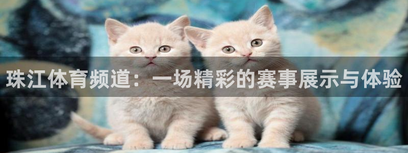珠江体育频道：一场精彩的赛事展示与体验