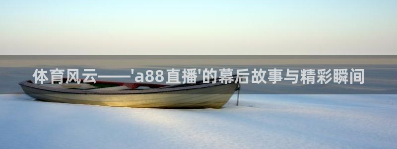 体育风云——\'a88直播\'的幕后故事与精彩瞬间