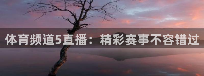 体育频道5直播：精彩赛事不容错过