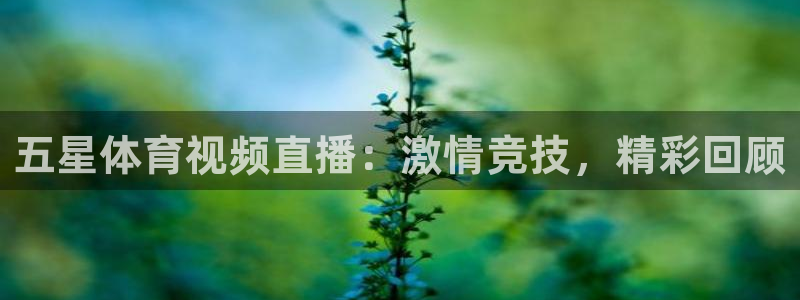 五星体育视频直播：激情竞技，精彩回顾