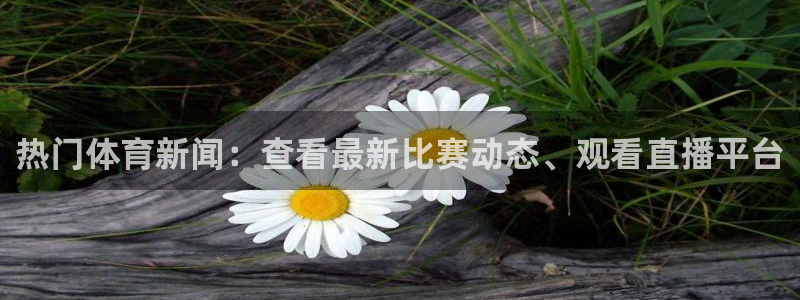热门体育新闻：查看最新比赛动态、观看直播平台