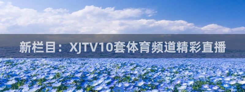 新栏目：XJTV10套体育频道精彩直播