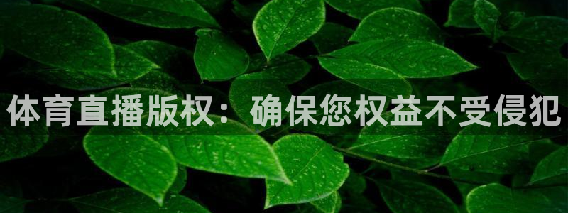 体育直播版权：确保您权益不受侵犯