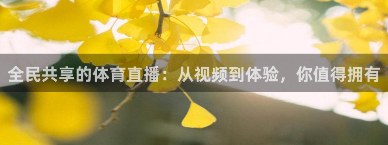 全民共享的体育直播：从视频到体验，你值得拥有