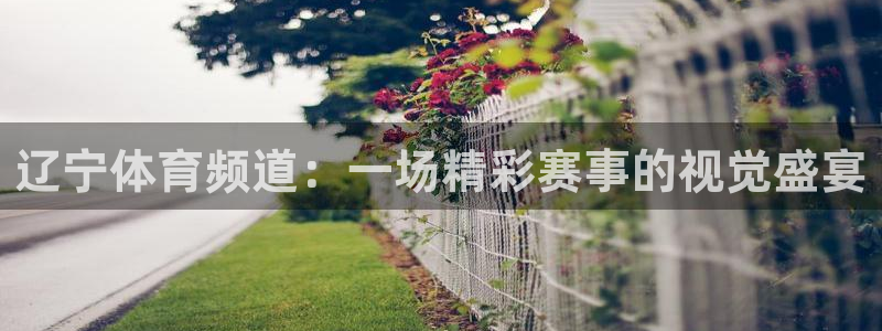 辽宁体育频道：一场精彩赛事的视觉盛宴