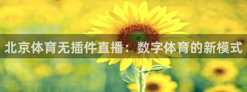北京体育无插件直播：数字体育的新模式