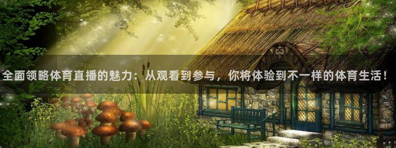 全面领略体育直播的魅力：从观看到参与，你将体验到不一样的体育生活！