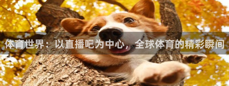 体育世界：以直播吧为中心，全球体育的精彩瞬间