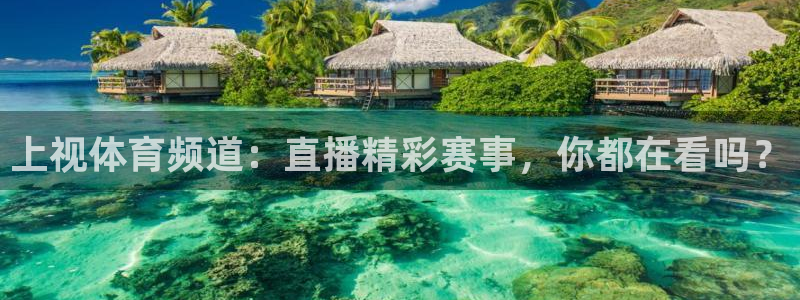 上视体育频道：直播精彩赛事，你都在看吗？