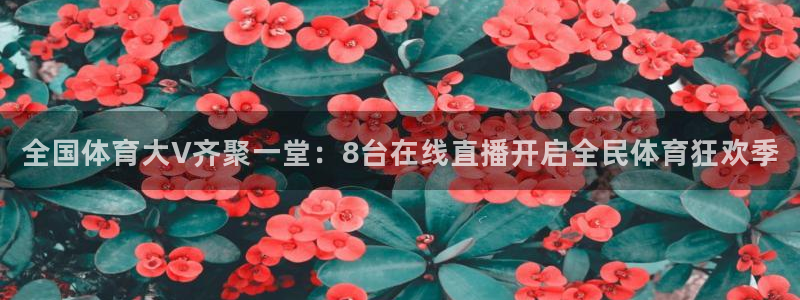 全国体育大V齐聚一堂：8台在线直播开启全民体育狂欢季