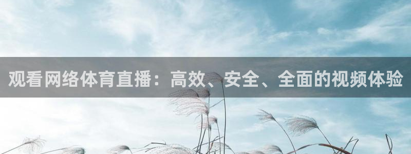 观看网络体育直播：高效、安全、全面的视频体验