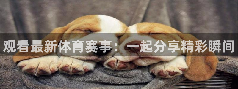 观看最新体育赛事：一起分享精彩瞬间