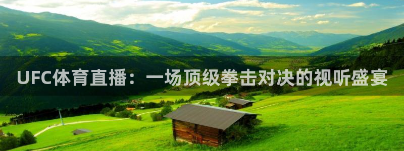 UFC体育直播：一场顶级拳击对决的视听盛宴