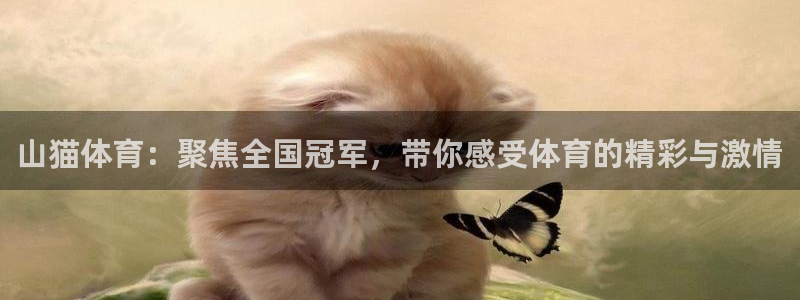 山猫体育：聚焦全国冠军，带你感受体育的精彩与激情