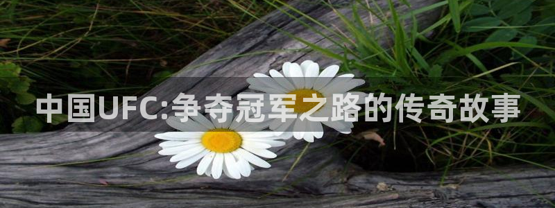 中国UFC:争夺冠军之路的传奇故事