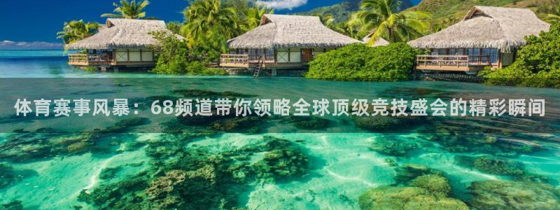 体育赛事风暴：68频道带你领略全球顶级竞技盛会的精彩瞬间