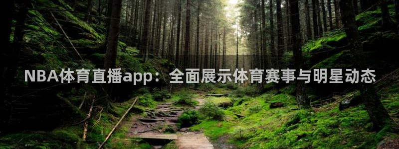 NBA体育直播app：全面展示体育赛事与明星动态