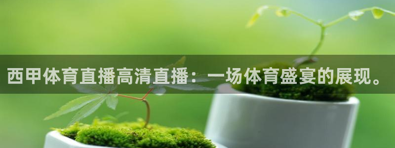 西甲体育直播高清直播：一场体育盛宴的展现。
