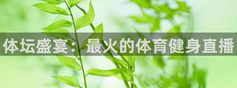 体坛盛宴：最火的体育健身直播